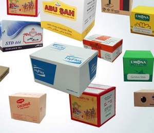 Hộp carton in mau 